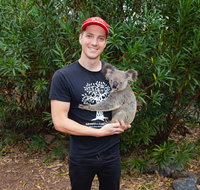 Cooberrie Park Wildlife Sanctuary - Accommodation Nelson Bay