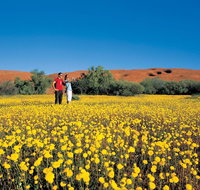 Coorow Farm Wildflower Trail - Accommodation Nelson Bay