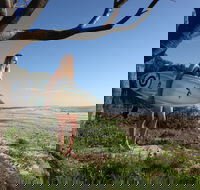 Evans Head Surf Shack - Accommodation Nelson Bay