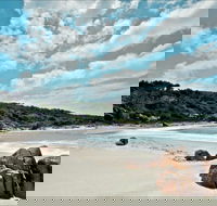 Fishermans Bay foreshore - Accommodation Nelson Bay