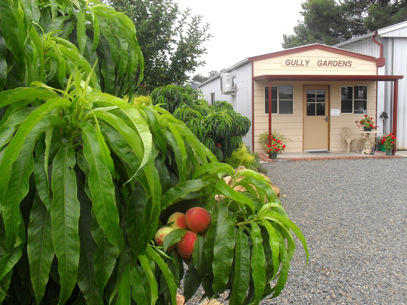 Angaston SA Accommodation Nelson Bay