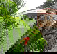Gully Gardens - Accommodation Nelson Bay