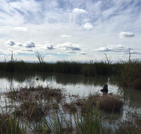 Gwydir Wetlands Moree - Accommodation Nelson Bay