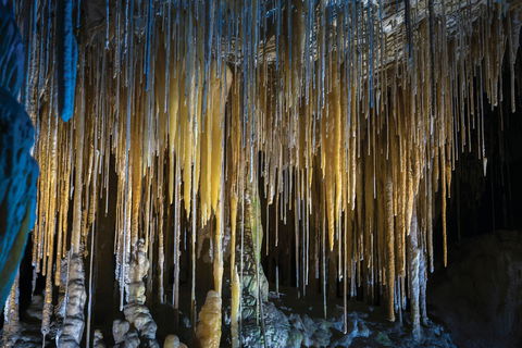 Hastings Caves And Thermal Springs - Accommodation Nelson Bay 0
