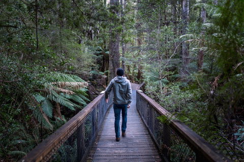 Hastings Caves And Thermal Springs - Accommodation Nelson Bay 1