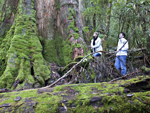 Hastings Caves And Thermal Springs - Accommodation Nelson Bay 2