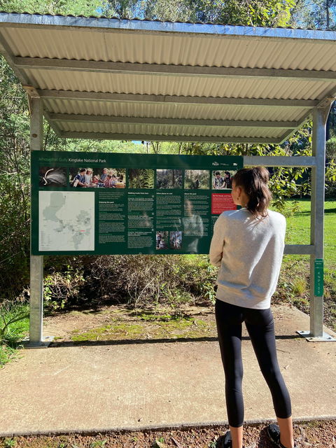 Jehosaphat Gully Picnic Area - Accommodation Nelson Bay 0