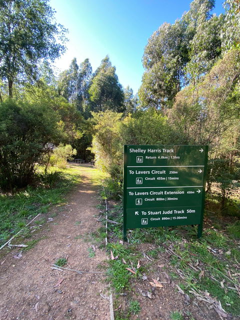 Jehosaphat Gully Picnic Area - Accommodation Nelson Bay 2