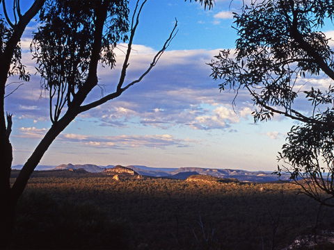 Ka Ka Mundi, Carnarvon National Park - Accommodation Nelson Bay 0