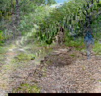 Kangaroo River Walking Track - Accommodation Nelson Bay