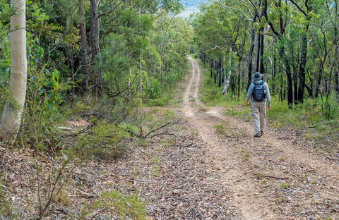 Kangaroo River Walking Track - Accommodation Nelson Bay 0