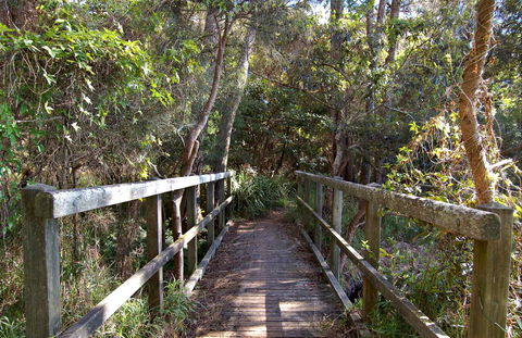 Lake Macquarie State Conservation Area - Accommodation Nelson Bay 1