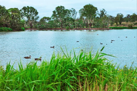 Lake Apex Park - Accommodation Nelson Bay 1
