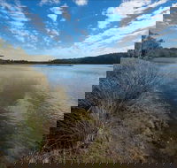 Lake Innes Nature Reserve - Accommodation Nelson Bay