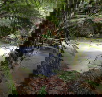 Marriotts Falls and Junee Caves - Accommodation Nelson Bay