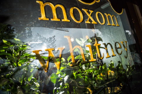 Moxom And Whitney - Accommodation Nelson Bay 2