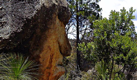 Mystery Face Walking Track - Accommodation Nelson Bay 0