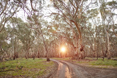Nyah Vinifera Park - Accommodation Nelson Bay 1