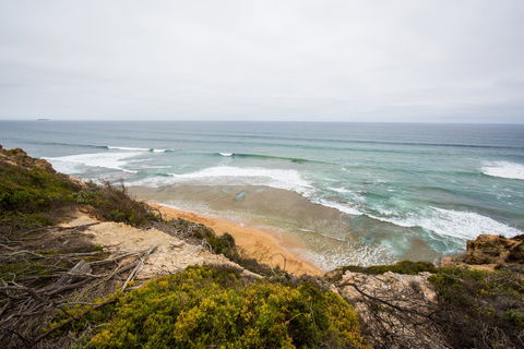 Ocean Grove Main Beach - Accommodation Nelson Bay 1