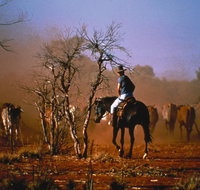 Outback Heritage and Coal Adventure - Accommodation Nelson Bay