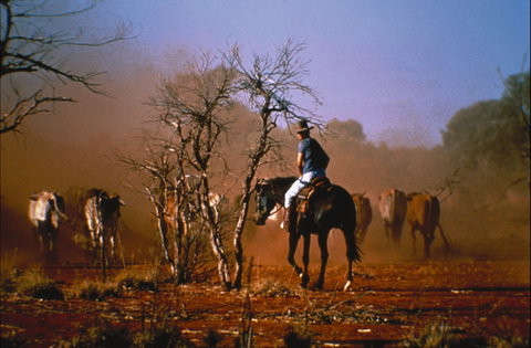 Outback Heritage And Coal Adventure - Accommodation Nelson Bay 0