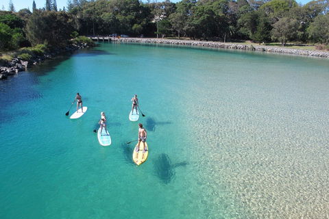 Paddleboard At Back Creek South West Rocks - Accommodation Nelson Bay 0