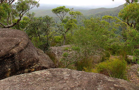 Pigeon House Mountain Didthul Walking Track - Accommodation Nelson Bay 0