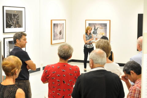 Pine Rivers Art Gallery - Accommodation Nelson Bay 1