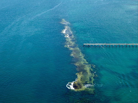 Port Noarlunga Reef Sanctuary Zone - Encounter Marine Park - Accommodation Nelson Bay 0