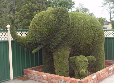 Railton: Town Of Topiary - Accommodation Nelson Bay 0