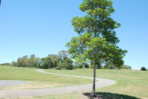 Samford Valley Rail Trail - Accommodation Nelson Bay 2