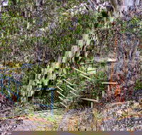Sawpit Walking Track - Accommodation Nelson Bay