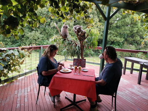 The Aussie Stop Offering Breakfast With Koalas - Accommodation Nelson Bay 0