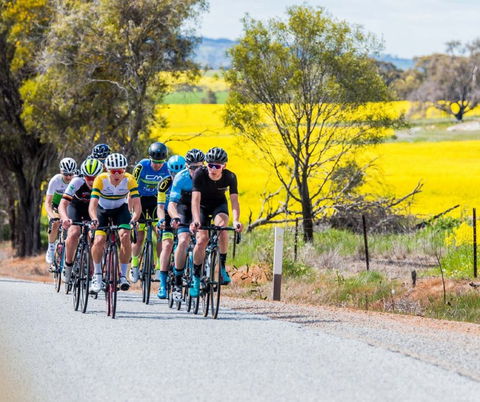 The West Side Story - Avon River Cycle Trail - Accommodation Nelson Bay 1
