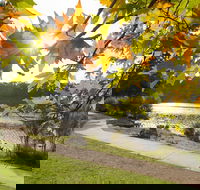 Wentworth Falls Lake - Accommodation Nelson Bay