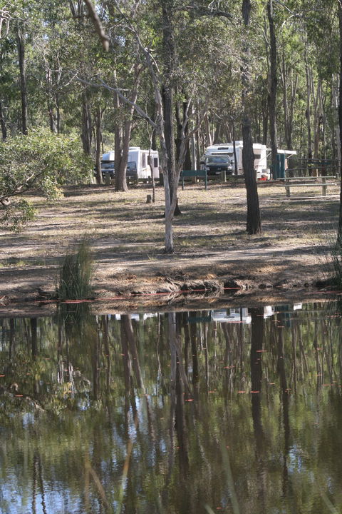 Wongi State Forest - Accommodation Nelson Bay 1