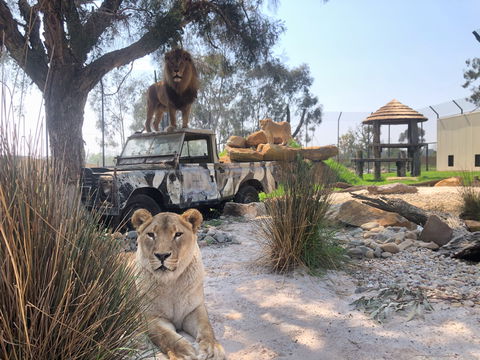 Zambi Wildlife Retreat - Accommodation Nelson Bay 0