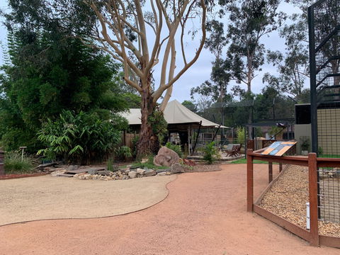 Zambi Wildlife Retreat - Accommodation Nelson Bay 2