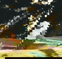 Aberdeen Golf Club - Accommodation Nelson Bay