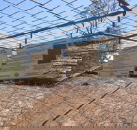 Aboriginal Carvings - Accommodation Nelson Bay