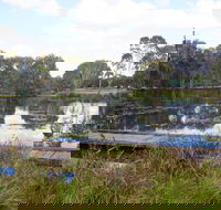 Baldwin Swamp Environmental Park - Accommodation Nelson Bay