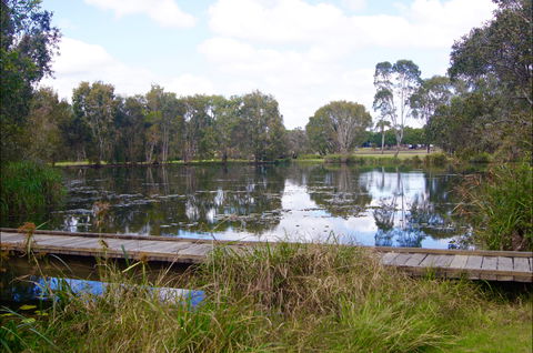 Baldwin Swamp Environmental Park - Accommodation Nelson Bay 0