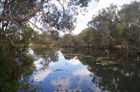 Baldwin Swamp Environmental Park - Accommodation Nelson Bay 2