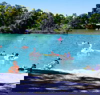 Black Diamond Lake - Accommodation Nelson Bay