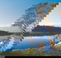 Blackwood River - Accommodation Nelson Bay