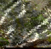 Buddong Falls Walking Track - Accommodation Nelson Bay