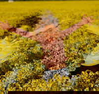 Canola Trail - Accommodation Nelson Bay