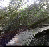 Carole Green Walkway - John Oxley Reserve - Accommodation Nelson Bay