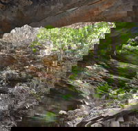 Cave Creek Walking Track - Accommodation Nelson Bay