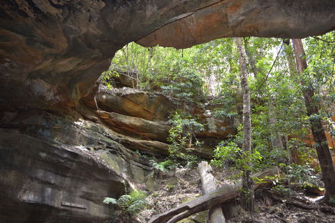 Cave Creek Walking Track - Accommodation Nelson Bay 0